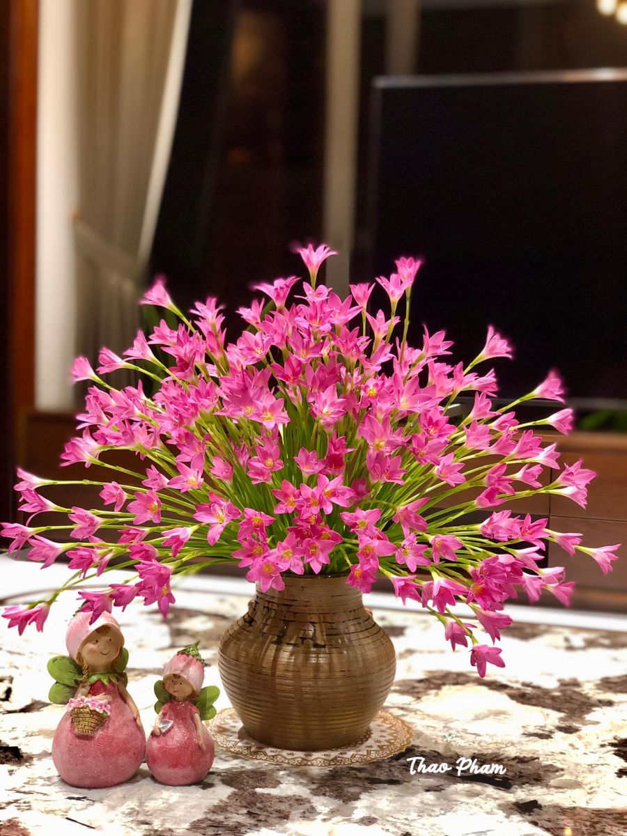 Tử vi ngày 2/8/2022 của 12 cung hoàng đạo